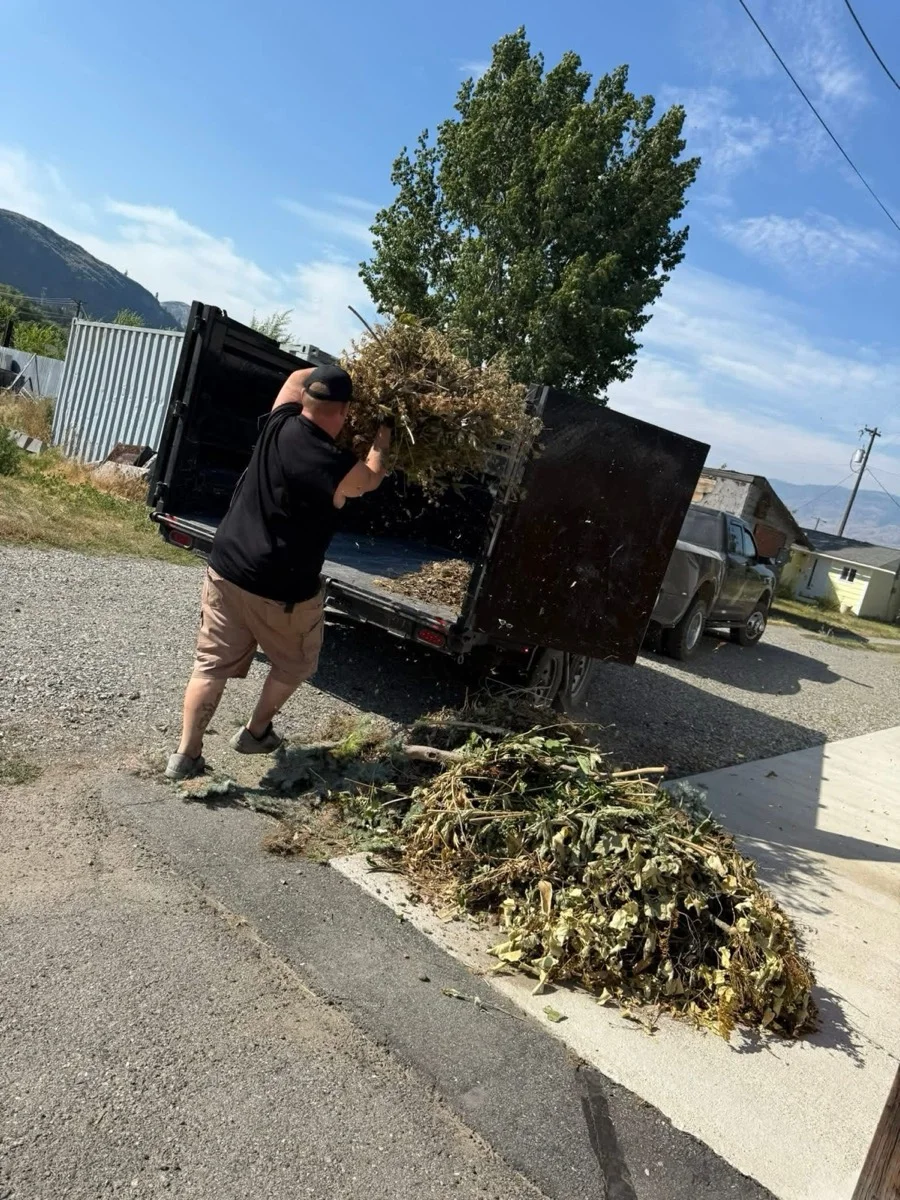 Branches loaded for removal
